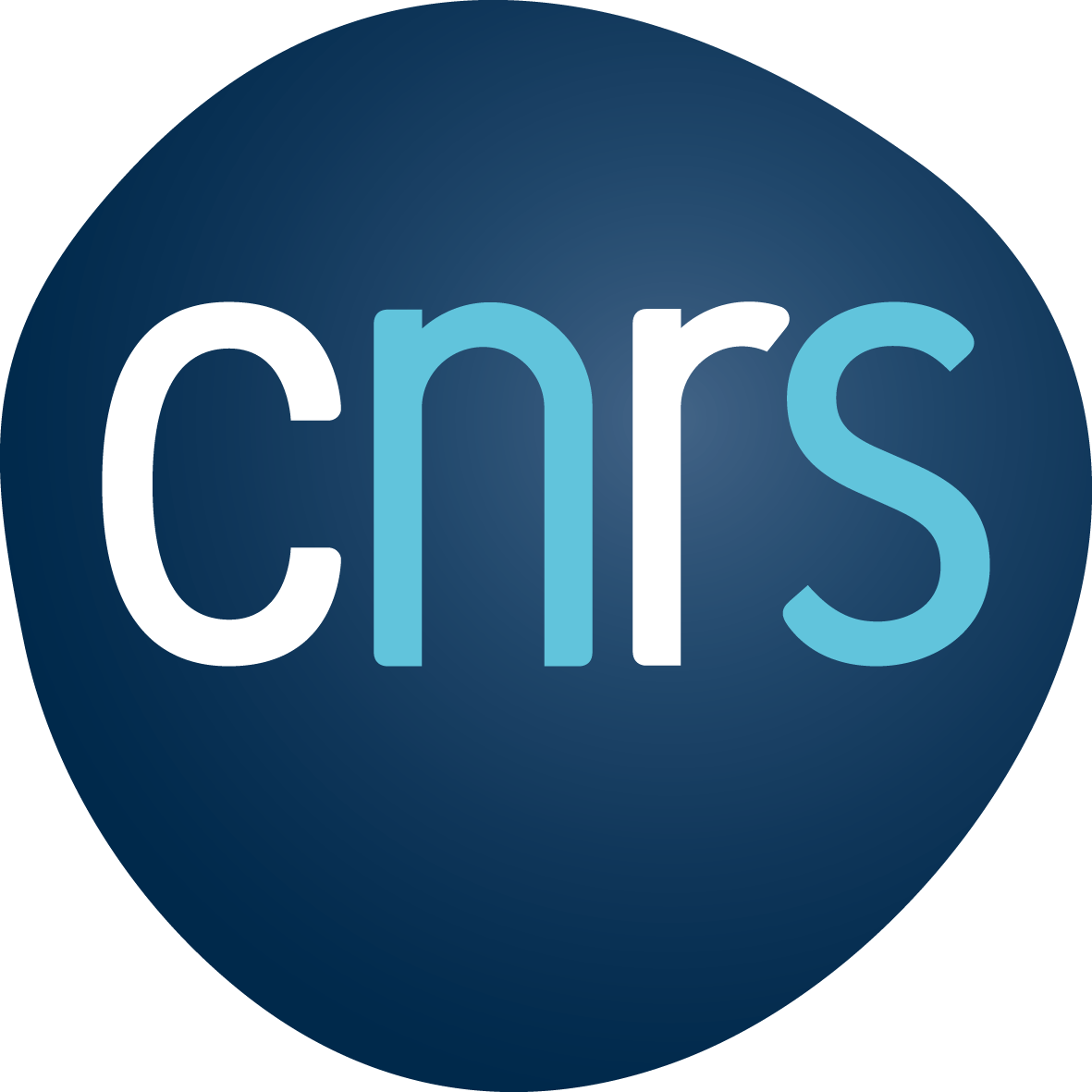 Cnrs logo